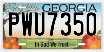 GA license plate PWU7350