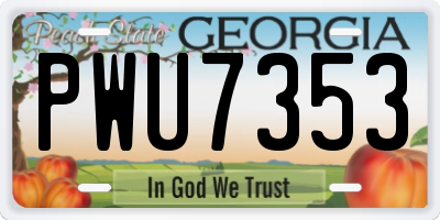 GA license plate PWU7353