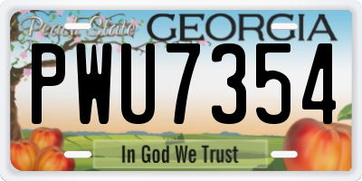 GA license plate PWU7354