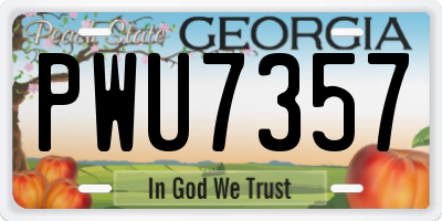 GA license plate PWU7357