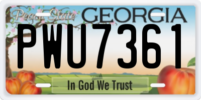 GA license plate PWU7361