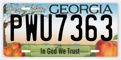 GA license plate PWU7363