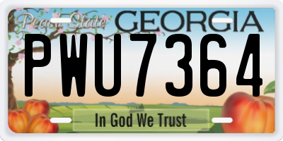 GA license plate PWU7364