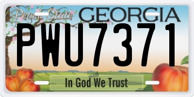 GA license plate PWU7371