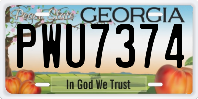 GA license plate PWU7374