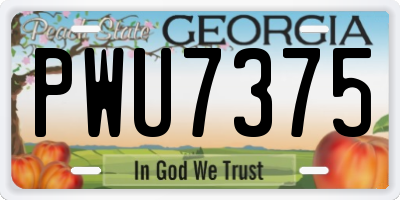 GA license plate PWU7375