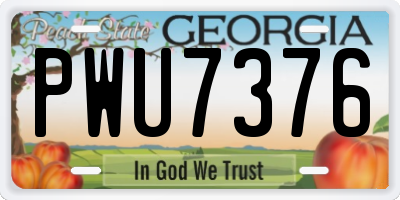 GA license plate PWU7376