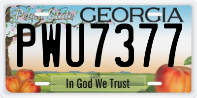 GA license plate PWU7377