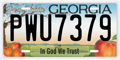 GA license plate PWU7379