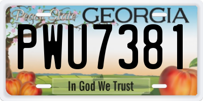 GA license plate PWU7381