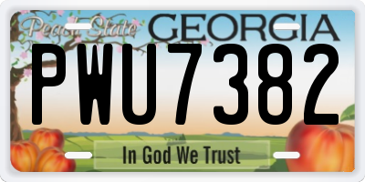 GA license plate PWU7382