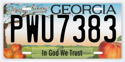 GA license plate PWU7383