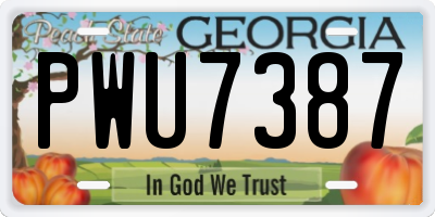 GA license plate PWU7387