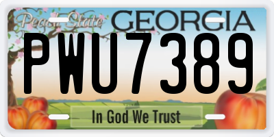 GA license plate PWU7389