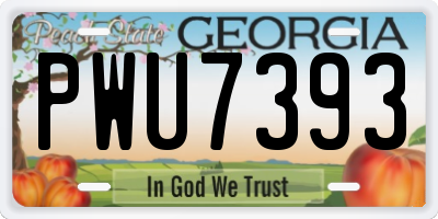 GA license plate PWU7393