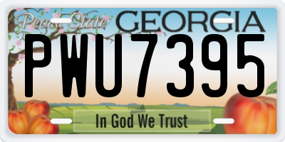 GA license plate PWU7395