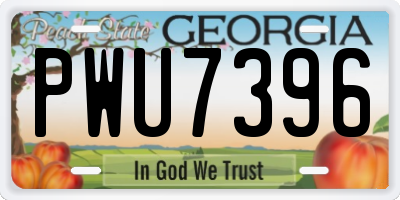 GA license plate PWU7396
