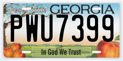 GA license plate PWU7399