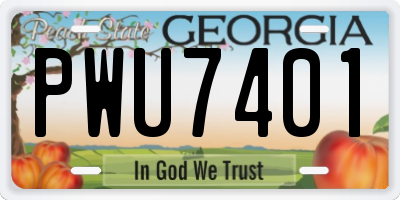 GA license plate PWU7401