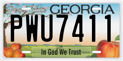 GA license plate PWU7411