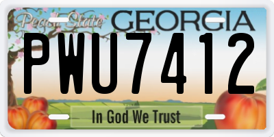 GA license plate PWU7412