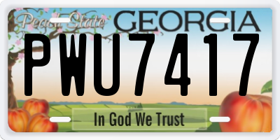 GA license plate PWU7417