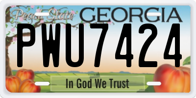 GA license plate PWU7424