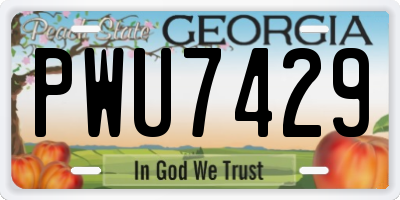 GA license plate PWU7429