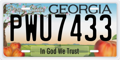 GA license plate PWU7433
