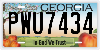 GA license plate PWU7434