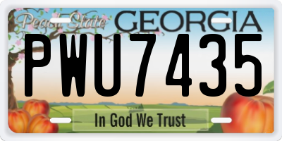 GA license plate PWU7435