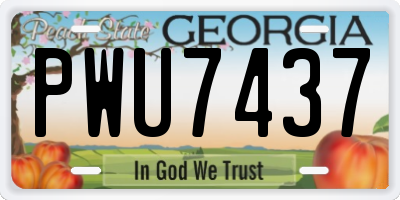 GA license plate PWU7437