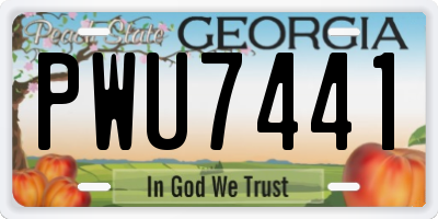 GA license plate PWU7441