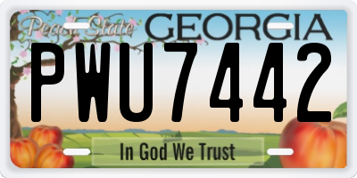 GA license plate PWU7442