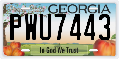 GA license plate PWU7443