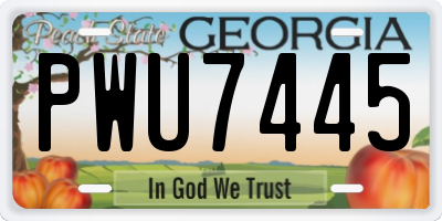 GA license plate PWU7445