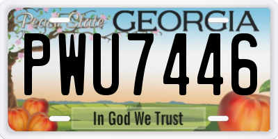 GA license plate PWU7446