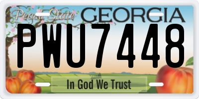 GA license plate PWU7448