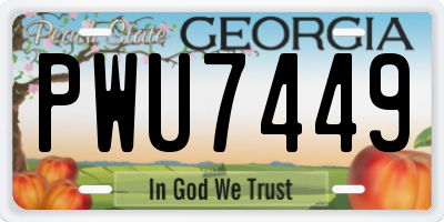 GA license plate PWU7449