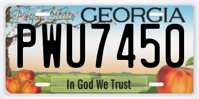GA license plate PWU7450
