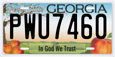 GA license plate PWU7460