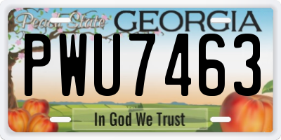 GA license plate PWU7463