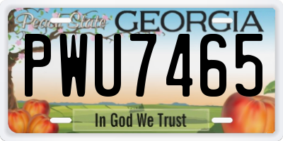GA license plate PWU7465