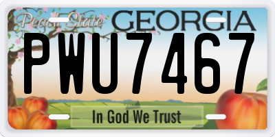GA license plate PWU7467