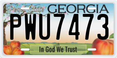 GA license plate PWU7473