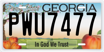 GA license plate PWU7477