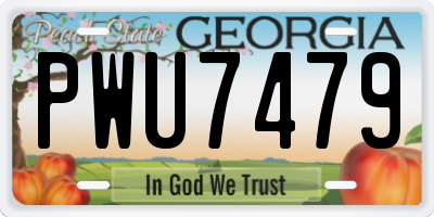 GA license plate PWU7479