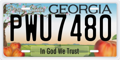 GA license plate PWU7480