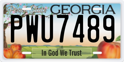 GA license plate PWU7489