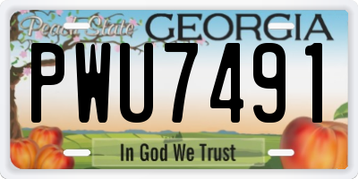 GA license plate PWU7491